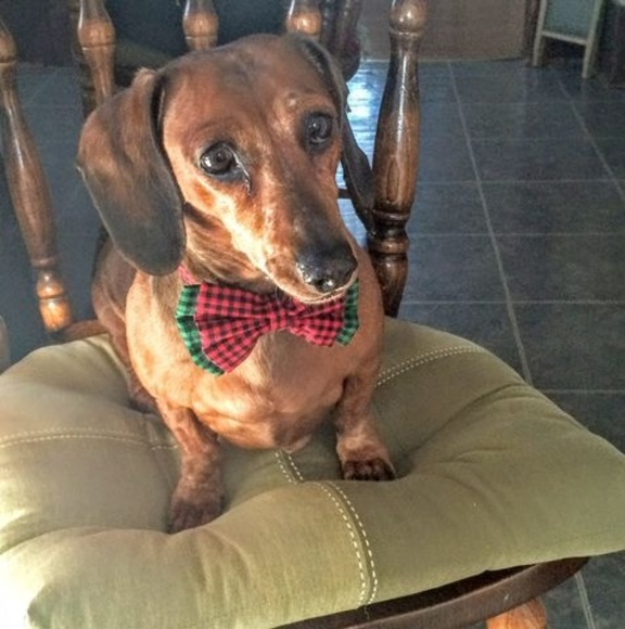 Meet your Posher, Lee - Picture 1 of 1